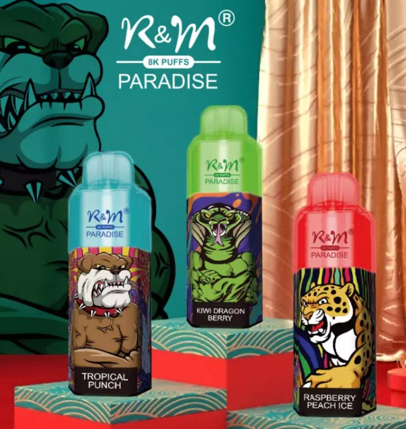 RM PARADISE 8000puffs RM PARADISE 8000puffs