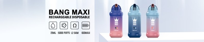 BANG MAXI 15000PUFFS VAPE BANG MAXI 15000PUFFS VAPE