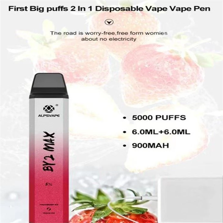 ALPSVAPE BY2 MAX 5000 Electronic Cigarette Disposable Vape