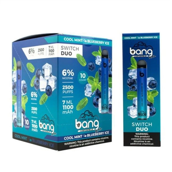 bang Switch duo 2500_
