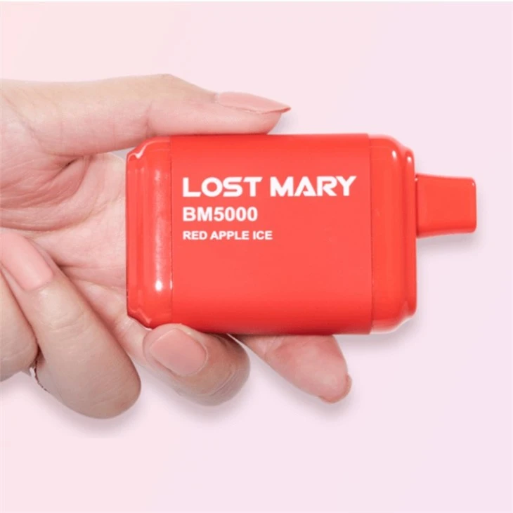 lost mary 5000