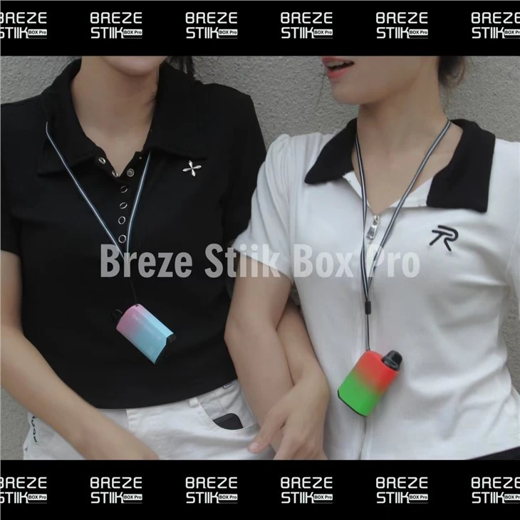 Breze Stiik Box Pro 5000 (13)