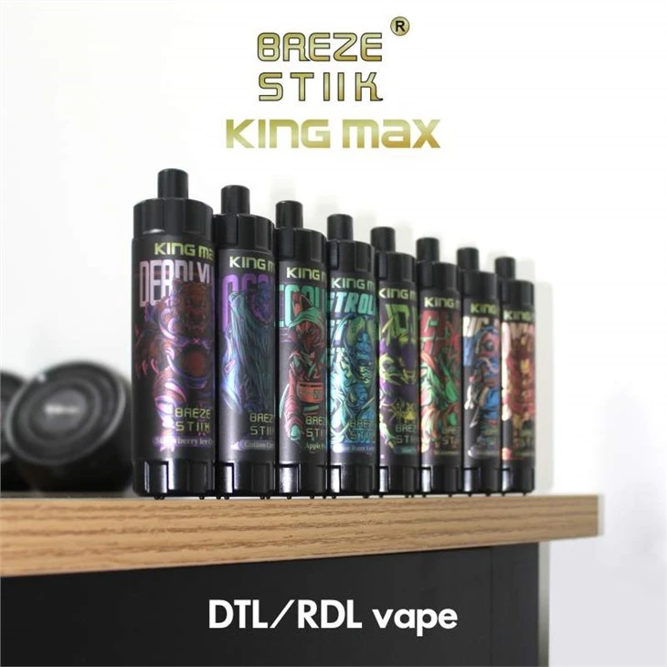 Breze Stik King Max 10000