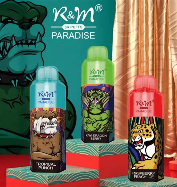 R&M PARAÍSO 8000