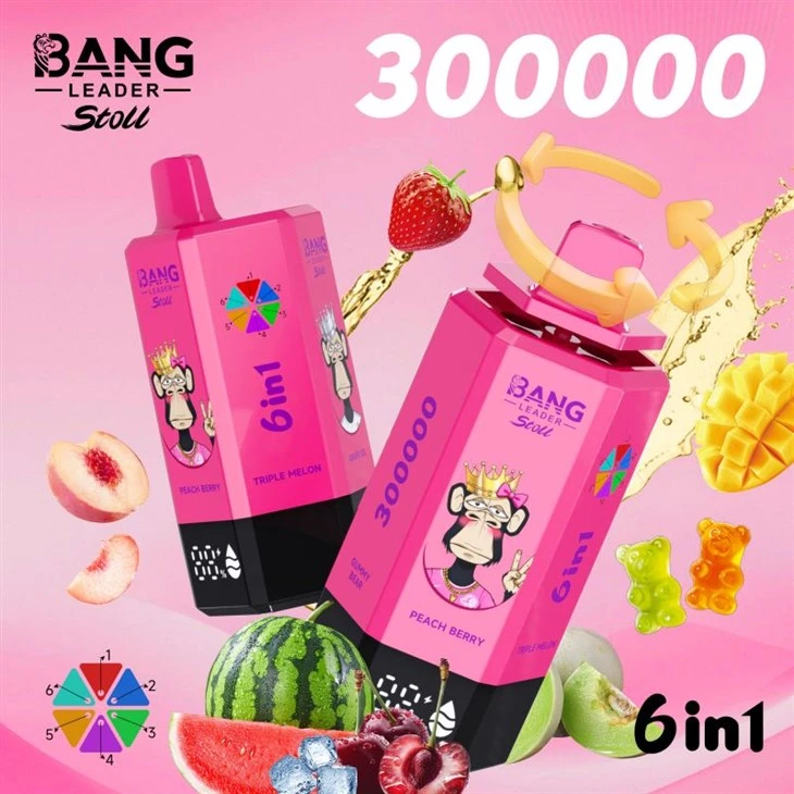 BANG LEADER 300K PUFFS VAPE
