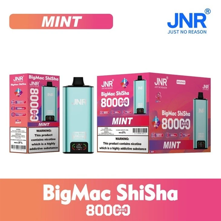 BS01-Mint_JNR Big Mac Shisha 80000