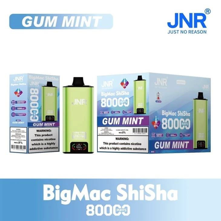 BS02-Gum Mint_JNR Big Mac Shisha 80000