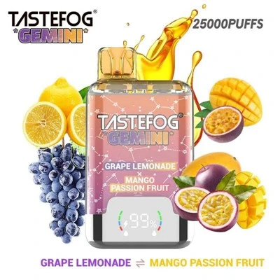 TASTEFOG GÉMINIS 25000