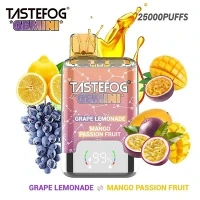 TASTEFOG GÉMINIS 25000