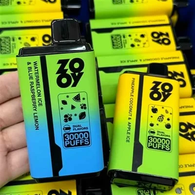 Zooy Twins 30000 Puffs Vape Dual Sabor