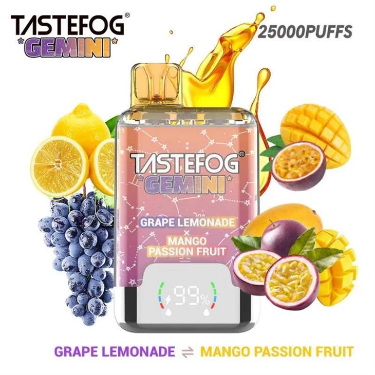 TASTEFOG GÉMINIS 25000