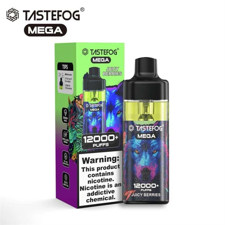TASTEFOG MEGA 12K bocanadas