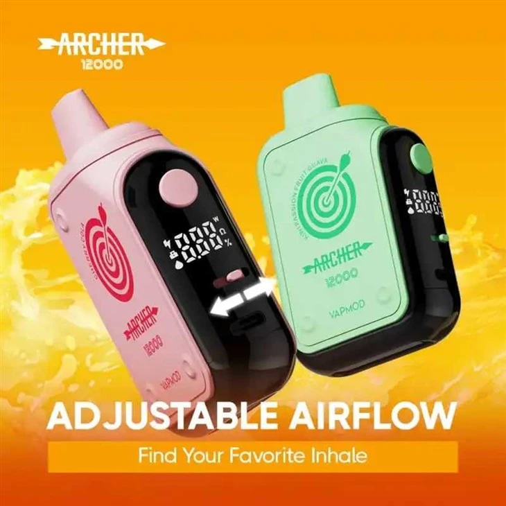 Vapmod Arquero 12000